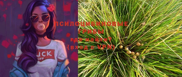 винт Бронницы
