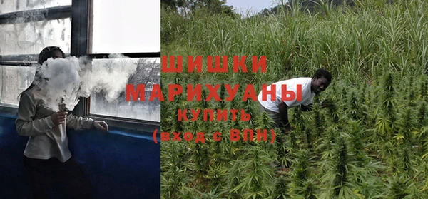 дживик Бородино