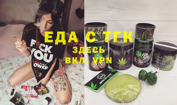 дживик Бородино