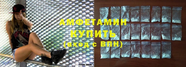 дживик Бородино