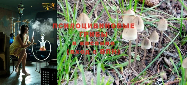 MESCALINE Богородицк