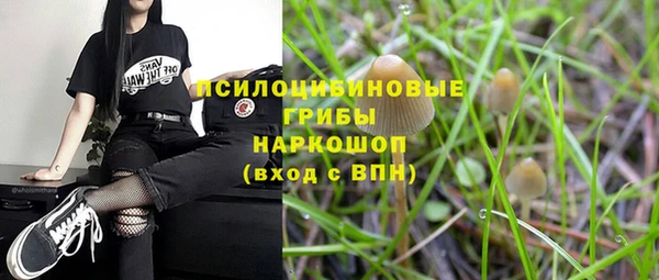 винт Бронницы