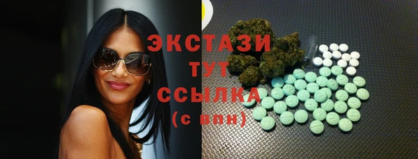 дживик Бородино