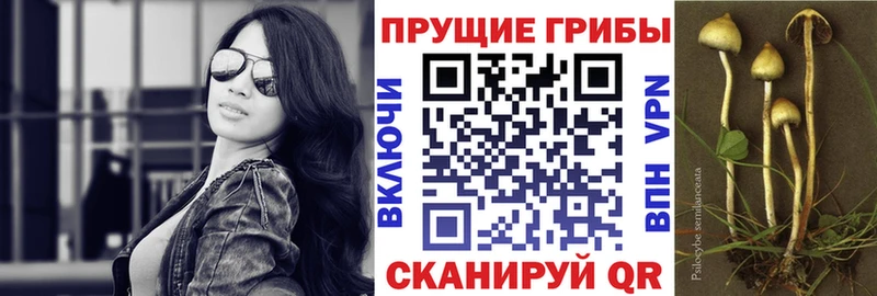 ОМГ ОМГ ONION  Междуреченск  Псилоцибиновые грибы мухоморы 